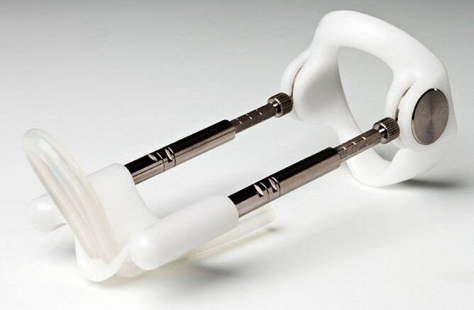 zakila handitzeko luzatzailea