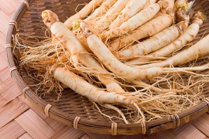 Ginseng erroa zakilaren ehunetan odol zirkulazioa estimulatzen duen tintura prestatzeko